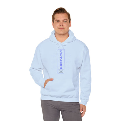 Men's Hoodie Sweatshirt